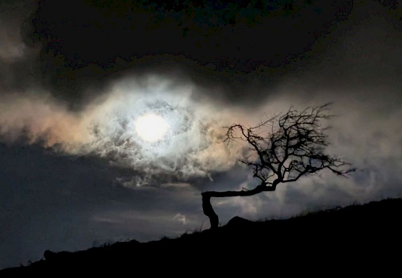 Alchemical Art Retreats