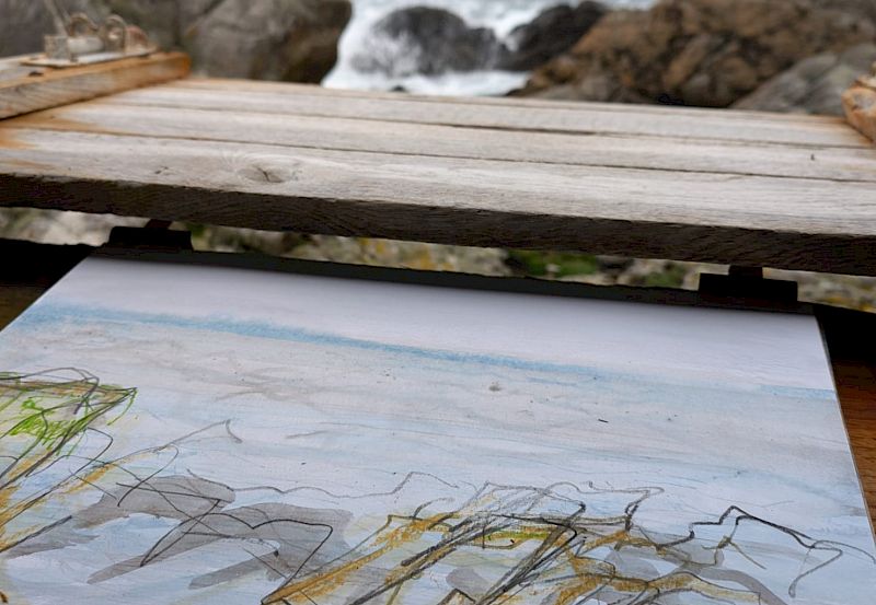Ynys Enlli Residency