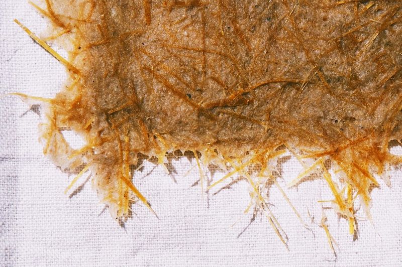 Papermaking