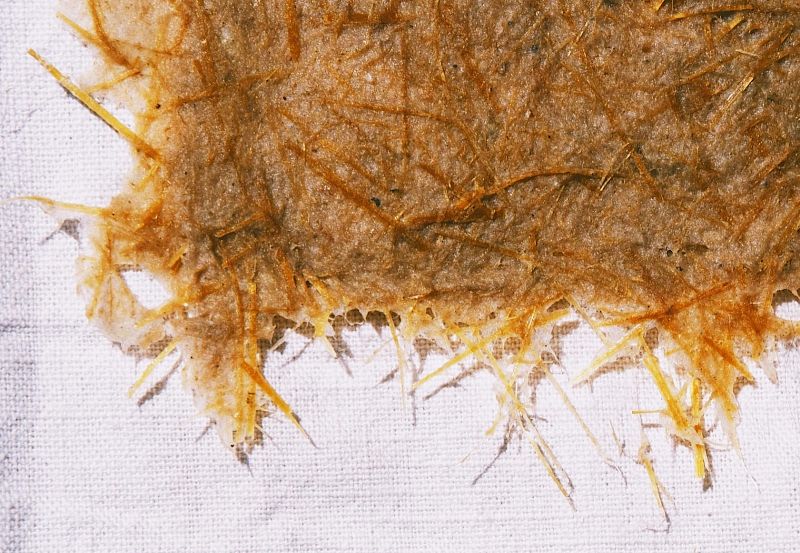 Papermaking