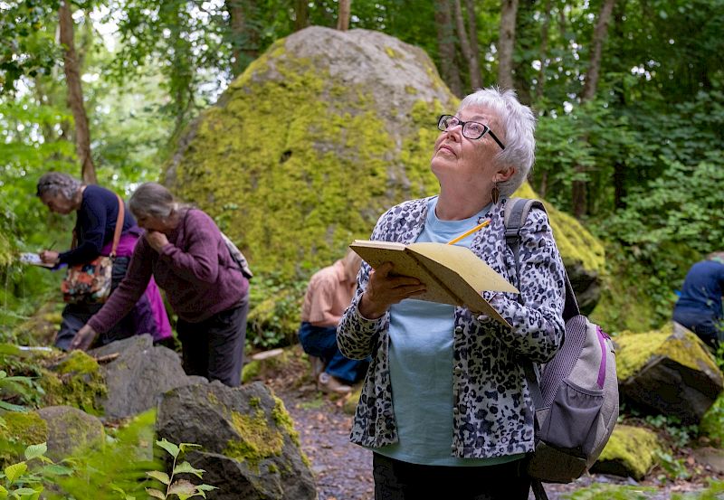 Creativity, Nature & Wellbeing