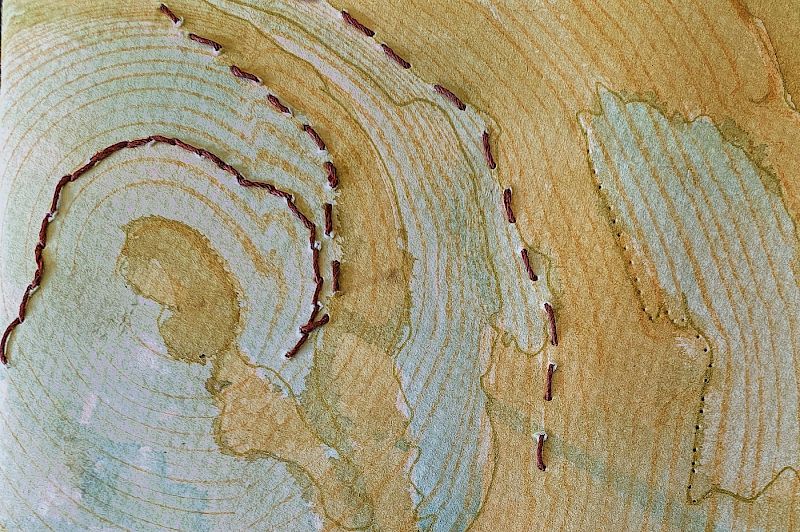 Lines in the Landscape