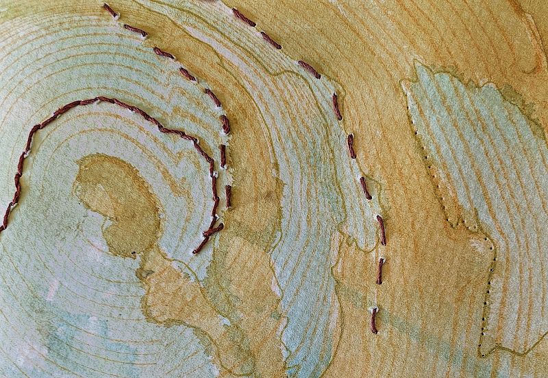 Lines in the Landscape
