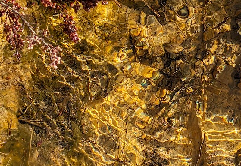 Paint Making with Natural Pigment