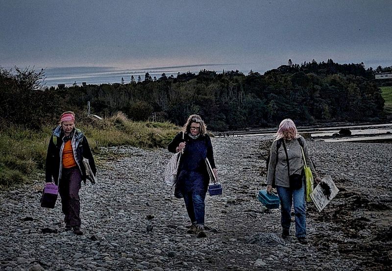 Intertidal Arts