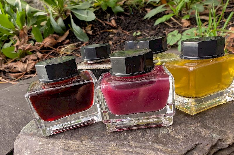 Botanical Inks Workshop