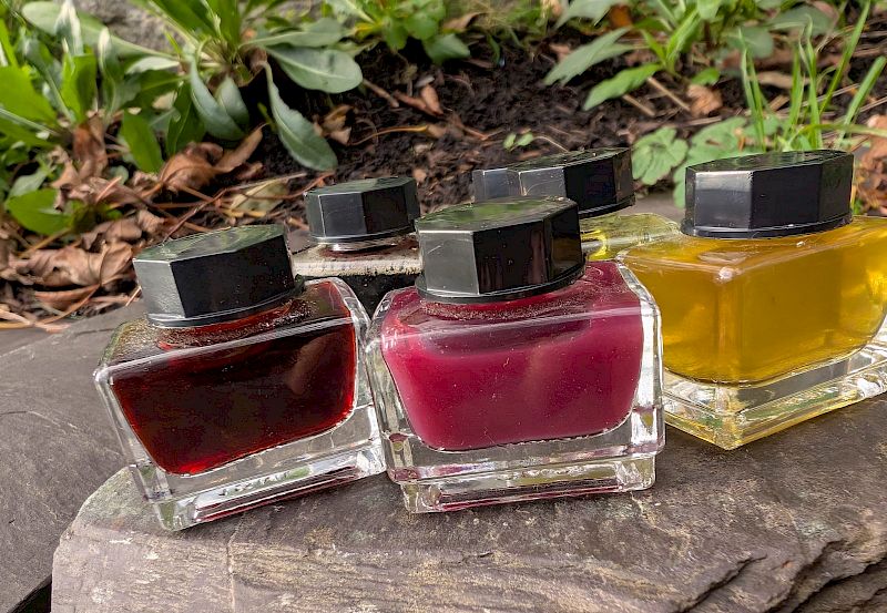 Botanical Inks Workshop