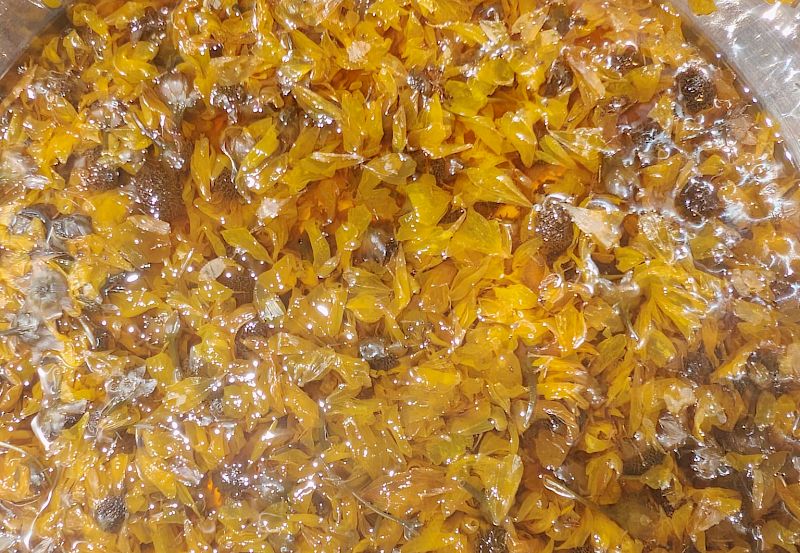 Botanical Inks Workshop