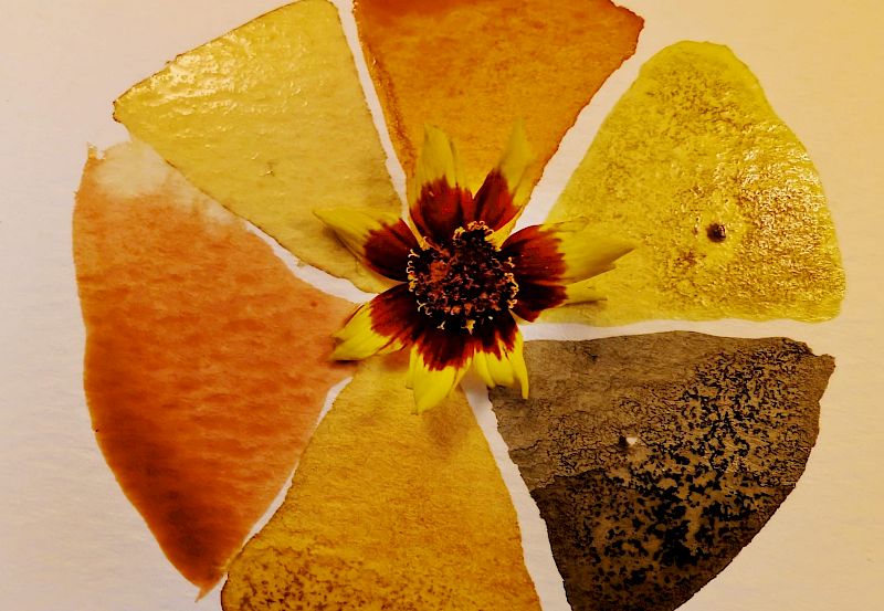 Botanical Inks Workshop