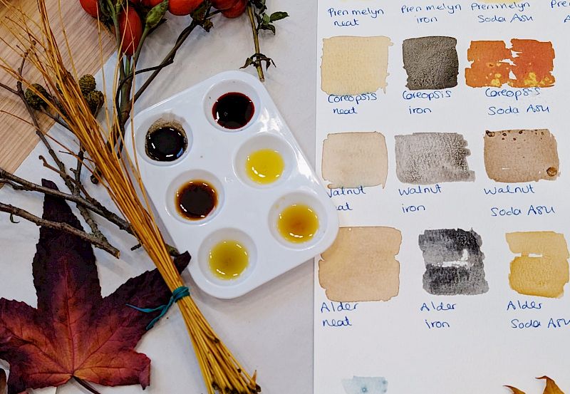 Botanical Inks Workshop